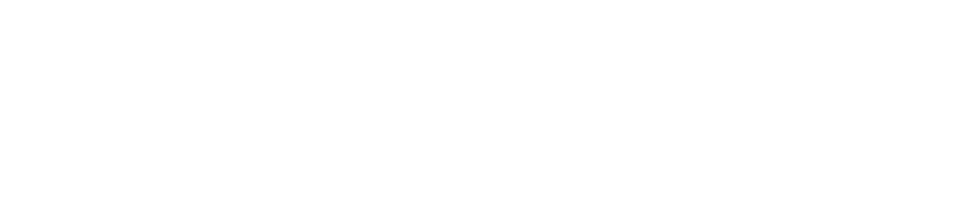 Elite Carpet Cleaning